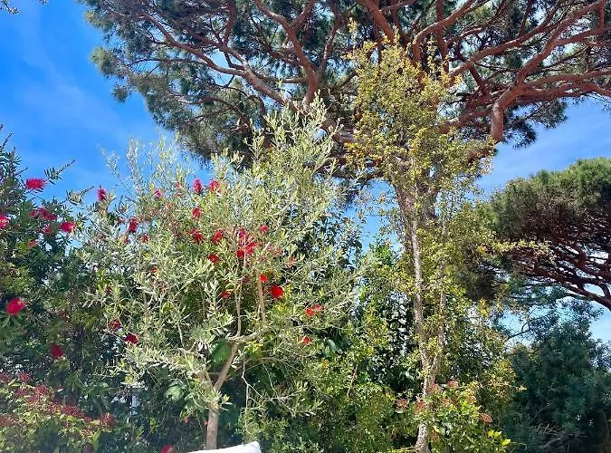 L'escalet
