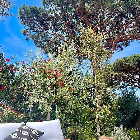 L'escalet Ramatuelle